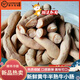 靈澈新鮮牛腸半熟牛小腸精修肥腸半成品冷凍牛雜火鍋 2斤 精品牛小腸(半熟去油)