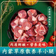 井親內(nèi)蒙古散養(yǎng)羊小腿 原切新鮮羊小腿骨 草原羊肉塊羊腿塊 羊小腿切塊【4斤】