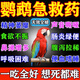 鸚鵡鳥(niǎo)專(zhuān)用藥玄鳳虎皮牡丹腸炎拉稀腹瀉綠便感冒痢疾鸚鵡飼料 500g 5瓶 【鳥(niǎo)想死都難】買(mǎi)3送2
