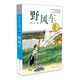 曹文軒純美小說：野風(fēng)車/國際安徒生獎得主曹文軒中短篇小說集代表作，關(guān)注少年兒童幽微而豐富的心靈世界，廣受贊譽(yù)。