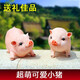 慧祥 創(chuàng)意家居客廳電視柜酒柜裝飾品擺件樹脂工藝品動(dòng)物仿真小豬擺件 粉豬一對(duì)
