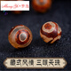 夢(mèng)逸藏式三眼天珠瑪瑙圓珠散珠金剛星月菩提配件DIY佛珠手串配飾 12mm（直徑）/個(gè)