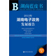 湖南藍皮書(shū)：2015年湖南電子政務(wù)發(fā)展報告