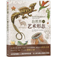 自然界的藝術形態(tài)
