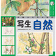 青藤少兒美術(shù)教程 寫(xiě)生 自然