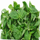威廉農(nóng)場(chǎng) 羅勒葉芽 羅勒 嫩芽 迷你葉 新鮮 Basil tips 30g 50g