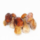 美味牛肝菌冷凍食用菌凍蘑菇Porcini “vacuum sealed” (frozen)  1kg 1kg
