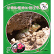 復(fù)旦版科學(xué)繪本·動物的秘密系列：動物和植物如何過冬