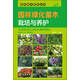 園林苗木繁育叢書--園林綠化苗木栽培與養(yǎng)護（圖文并茂）