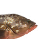 沈志雄福建東山島澳角村海捕速凍大紅石斑魚(yú)紅斑魚(yú)紅斑年貨年夜飯送禮 1條大紅斑2.4-2.8斤