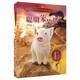 動物小說大王沈石溪 奇幻書系：聰明笨笨豬