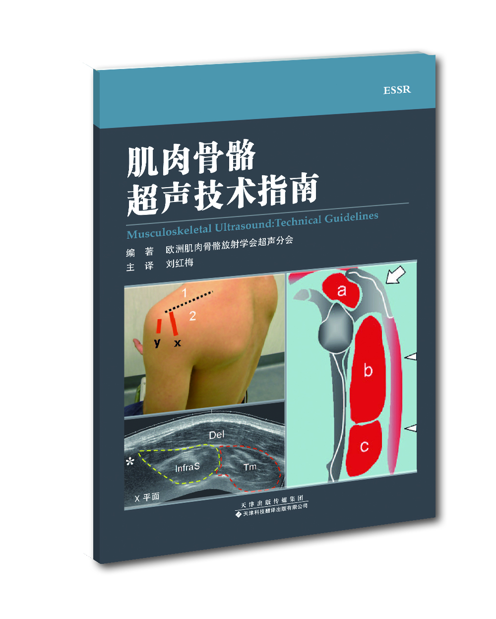 肌肉骨骼超聲技術(shù)指南