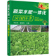 蔬菜水肥一體化實(shí)用技術(shù)（實(shí)用）