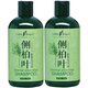 小助手（LittleHelper） 側(cè)柏葉植物控油洗發(fā)水酸性生姜脂溢性姜汁油性脫發(fā)男女去屑止癢 側(cè)柏葉洗發(fā)水500ml*2