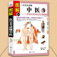 圖解一次完全讀懂中醫 中醫基礎理論 中醫養生 中醫入門(mén)書(shū)籍 穴位推拿按摩、拔罐、刮痧、艾灸 中醫療法