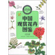 中國之美自然生態(tài)圖鑒 中國觀(guān)賞花卉圖鑒