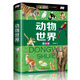 動(dòng)物世界（少兒注音版）