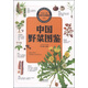 中國之美自然生態(tài)圖鑒 中國野菜圖鑒
