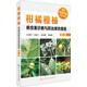 現代果樹(shù)病蟲(chóng)害診治叢書(shū)--柑橘橙柚病蟲(chóng)害診斷與防治原色圖鑒（第二版）（全彩、科學(xué)、可信賴(lài)）