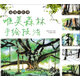浪漫水彩課：唯美森林手繪技法（繪客出品）
