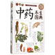 中藥養生圖典（超值全彩白金版）