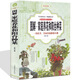 圖解 家庭養花和陽(yáng)臺種菜 居家健康花草大全室內養花書(shū)籍盆景入門(mén)大全蔬菜種植栽培技術(shù)多肉植物 生活書(shū)籍