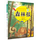 海潤陽(yáng)光 比安基經(jīng)典森林故事 圖文版 森林報 夏 三四年級五六年級小學(xué)生課外閱讀書(shū)籍兒童讀物10-15歲課外書(shū)8-12歲閱讀書(shū)目 
