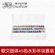 溫莎牛頓（WINSOR&NEWTON） 水彩顏料套裝學(xué)院級歌文固體水彩畫(huà)顏料半塊裝初學(xué)者繪畫(huà)便攜鐵盒 45色塑料盒0471