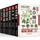 正版 6冊本草綱目+黃帝內經(jīng)靈樞素問(wèn)+傷寒論+神農本草經(jīng)+千金方 彩圖全解中醫養生書(shū)籍大全 中藥書(shū)