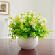 樹顏假花擺件塑料花含花瓶干花花束仿真植物盆景絹花客廳陽臺餐桌裝飾 2號米蘭+花+白瓷盆