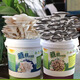 蘑菇菌種兒童菌包平菇菌新品蘑菇種植桶2L裝家庭種植兒童diy-融暖 黑平菇+白平菇各一桶