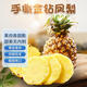 可香蜜海南金鉆鳳梨3/5斤新鮮無(wú)眼菠蘿酸甜時(shí)令水果當(dāng)季手撕番梨 青皮大果9斤(凈重8-8.5斤)