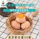 羅老板靈芝營(yíng)養初生蛋農家喂養新鮮土雞蛋月子蛋寶寶鋪食10-360枚 30枚裝