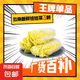 云南高原娃娃菜新鮮蔬菜生鮮乾隆白菜早餐火鍋必備產(chǎn)地直發(fā) 淺黃色 新鮮娃娃菜3顆裝*1包