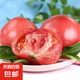 山東紅果西紅柿農(nóng)家自種新鮮水果生吃沙瓤番茄應(yīng)季蔬菜自然熟 紅果西紅柿 5斤