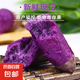 新鮮紫薯寶寶輔食新鮮紫薯自種根莖蔬菜 紫薯中大果 【特價福利】9斤