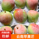 新鮮蘋果芒 當(dāng)季澳芒熱帶甜心芒水果整箱 蘋果芒4.5-5斤單果200g+