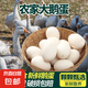 12枚新鮮鵝蛋農(nóng)家散養(yǎng)鵝蛋孕婦寶寶滋補食材大個頭生鮮京東包郵 12枚精選鵝蛋（總凈重1.25kg）