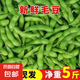 現(xiàn)摘青毛豆新鮮帶殼毛豆新農(nóng)家鮮青豆農(nóng)村鮮嫩毛豆角青毛豆 現(xiàn)摘新鮮帶殼毛豆  凈重5斤