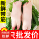 【自營(yíng)】豬蹄新鮮冷凍農(nóng)家土豬腳帶筋豬腳前蹄后蹄隨機(jī)豬肉生鮮 小香豬蹄5-7兩/帶筋整只 整只小香豬腳【8只】新鮮帶筋