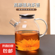 四季茶壺大容量不銹鋼蓋子耐高溫玻璃壺泡茶壺電陶爐加熱涼水壺 四季茶壺 1800ml