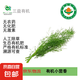 【超市品質(zhì)】有機小茴香現(xiàn)摘現(xiàn)發(fā)新鮮蔬菜生鮮 1000g