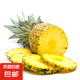 國產(chǎn)黑鉆鳳梨云南牛奶鳳梨新鮮水果手撕鳳梨非菠蘿 1個裝  單果650-750g