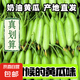 低卡早餐奶油黃瓜減脂夏季零食白玉水果黃瓜脆甜可口生鮮蔬菜 暢銷款 20根左右 泡沫箱發(fā)貨 5斤