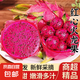 廣西紅心火龍果金都一號新鮮紅肉蜜寶果當(dāng)季孕婦水果紅龍果包郵 【中果5斤】單果200g+