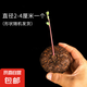 山烏龜植物金不換盆栽紅藤血藤水培盆景爬藤室內(nèi)桌面多肉綠植花卉 直徑3-4厘米1個紅藤山烏龜+贈品