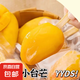 冰鮮小臺芒新鮮現(xiàn)摘去皮小臺芒一整支冷凍冰淇淋雪糕孕婦兒童零食 20支*55g【冰鮮小臺芒】