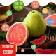 廣東新鮮黃金紅肉芭樂千品匯冰激凌芭樂軟糯番石榴低糖孕婦水果 低糖紅色芭樂5斤（凈重）