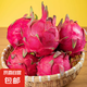 廣東紅肉火龍果新鮮采摘現(xiàn)摘現(xiàn)發(fā) 單果200g+ （4粒）
