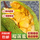 海南樹熟榴蓮蜜新鮮水果軟糯香甜濕包新鮮肉厚核小當(dāng)季超甜現(xiàn)貨 榴蓮蜜（非榴蓮）4-5斤1-2個裝
